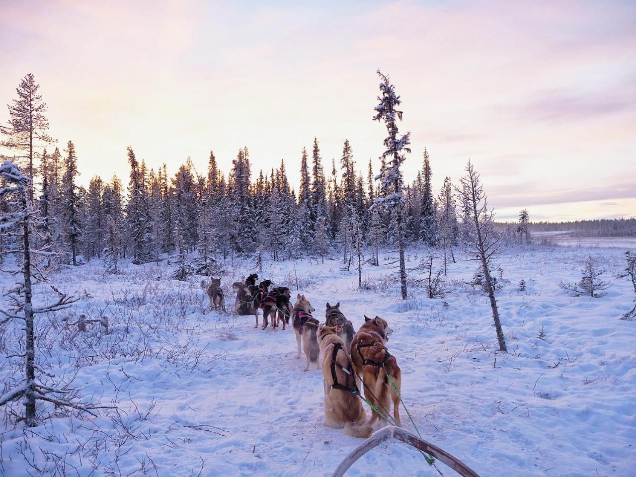 Aurora Camp Kurravaara