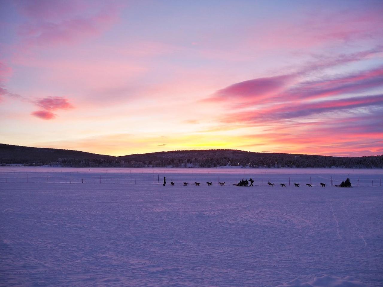 Aurora Camp *